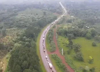 Marea de tractores en Iguazú: productores yerbateros alzan su voz ante la llegada de Milei