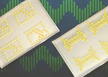 Bacterias impresas: el nuevo enfoque del MIT para crear circuitos vivos