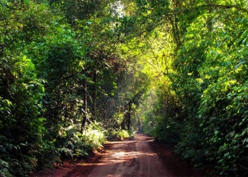 Misiones rechaza un desarrollo turístico en las 600 Hectáreas y exige recuperar las zonas dañadas