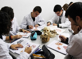 Medicina en el interior: la UCP confirmó que el ciclo lectivo arrancará en 2027 en Alem