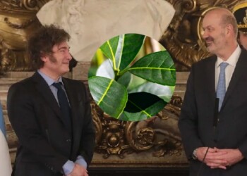 Dura respuesta de Misiones a Sturzenegger: “Sin productor no hay industria ni yerba para exportar”